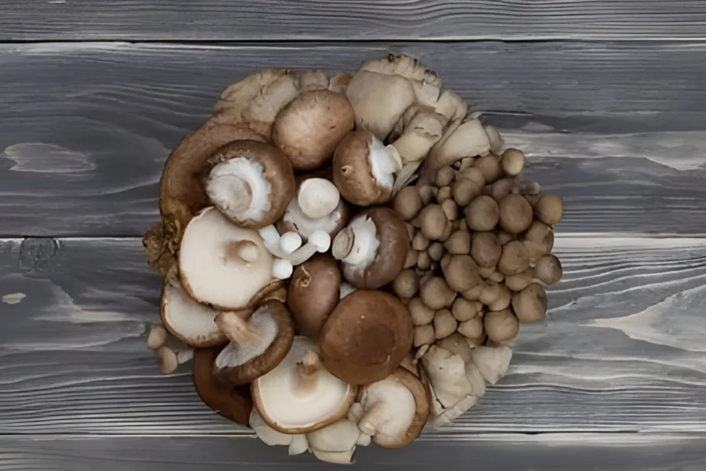 shiitake mushroom recipes