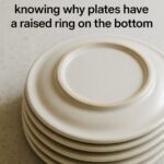 🌱 How to Grow Ginger in a Small Pot — and Still Get a Great Harvest