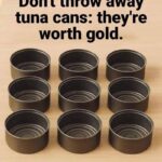 How to Make Your Own Eco-Friendly Fire Blocks at Home and Slash Your Winter Heating Costs