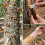 🩺 If You Have Visible Veins, It Means You Are… What Exactly?