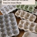 How To Grow Buckets Full of Blueberries No Matter Where You Live