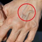 🧠🍽️ You Must Choose One Ingredient to Live Without: What Your Choice Says About You