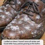 🌸 5 Easy Foods Rich in Estrogen