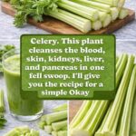 👁️ Eye Doctor Reveals What to Do If You Start Seeing “Floaters”