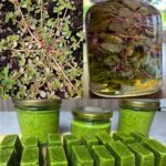 Kind people gave a homeless woman an old trailer.The woman was so happy to have a home.