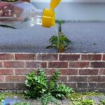 What It Really Means When Someone Helps the Server Clear the Table, According to Psychologists