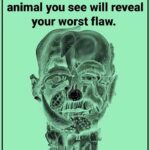  Rice Water: The Hidden Gold at Home