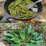 Lady Sticks 6 Cheap Green Plastic Ferns into the Tops of 3 Bright Orange Foam Pool Noodles — Everyone Is Copying This Brilliant Porch Idea for March!
