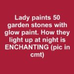 Here’s What to Do If You Spot a Lone Star Tick