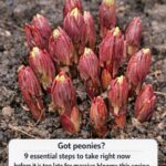 Lady arranges 20 pastel silk hydrangeas in an upside-down pink umbrella. This front porch hack is the coolest thing I have seen!