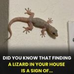 Lady braids cotton mop strings and glues them onto a plastic bucket. This hack is going viral everywhere!