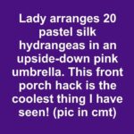 Got Peonies? 9 Essential Steps to Take Right Now Before It’s Too Late for Massive Blooms This Spring