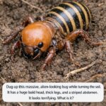 “Freezing Kills Bacteria”… Or Does It?