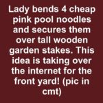 People Shocked to Learn Why Pineapples Make Their Mouths Tingle