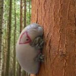 Lady stuffs a plastic bag with fiberfill and dangles crystal beads. This front door hack is blowing up right now