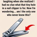 10 Things You Shouldn’t Be Storing on Your Kitchen Countertop