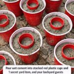 They Call It “Natural Morphine” Because It May Help Soothe Muscle and Joint Discomfort – Try This Delicious Blueberry Wellness Drink